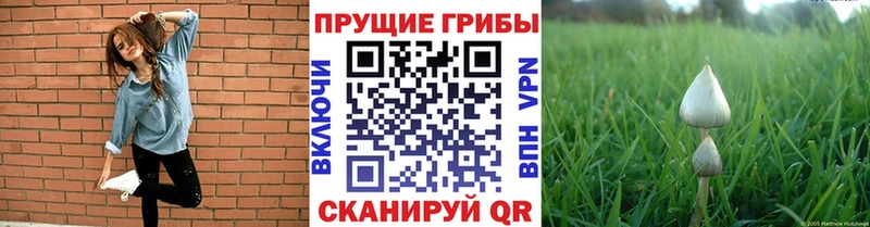 Псилоцибиновые грибы мухоморы  мега зеркало  Отрадный 