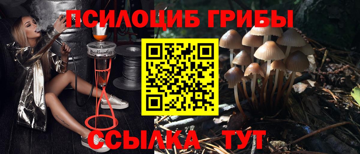 Псилоцибиновые грибы мухоморы  Вход с VPN  купить наркоту  Отрадный 